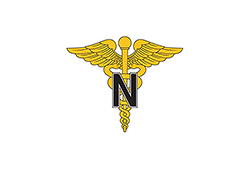 nursing icon